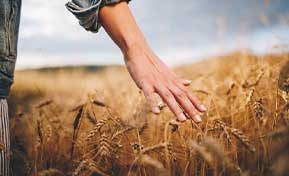 Hand Dermal Filler Injections Raleigh NC